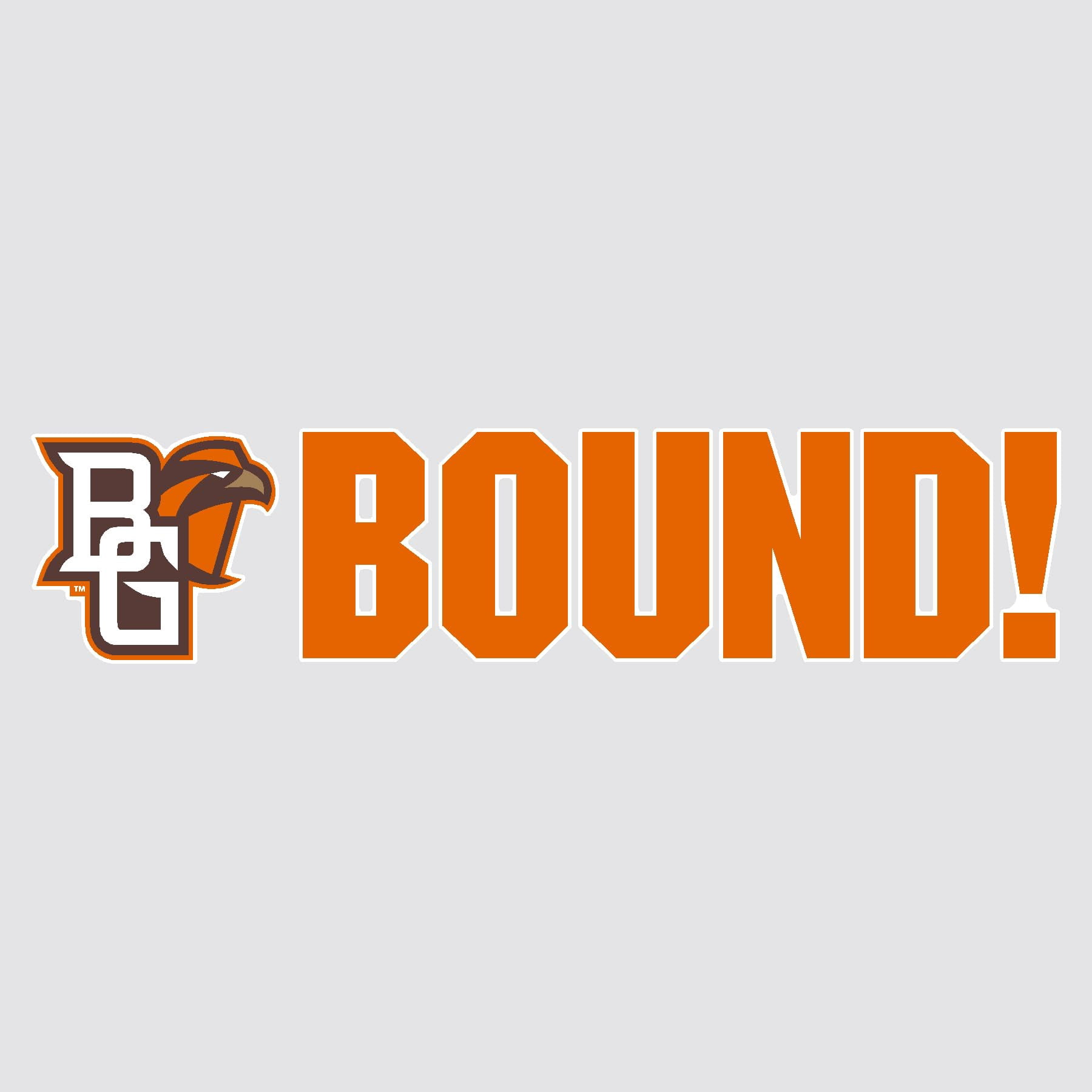 Bowling Green State University BOUND Mascot Yard Sign Set