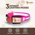 thumbnail image 6 of DOGGYLOVE LED Dog Collar – Lighted Collars for All Pets – USB Rechargeable Dog Collar for Pet Night Walking – Adjustable Light Up Dog Collar with Super Bright Safety - For Male/Female Dog (XL, Pink), 6 of 7