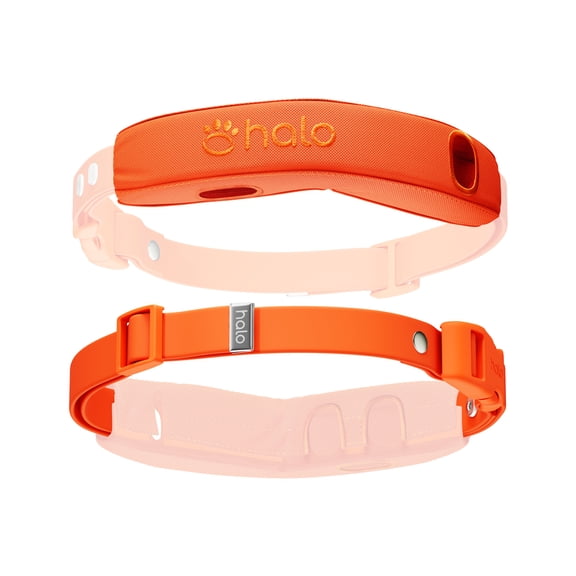 Halo Collar 4 Pro Case Strap Kit