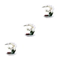 thumbnail image 3 of Matsuzay Orquídeas artificiales Plantas de flores falsas Hermoso arreglo vivo Type1 NO1, 3 of 6