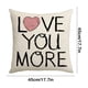 thumbnail image 3 of CaiYueKe Valentine's Day Pillow Cover Romantic Couples Gift Linen Look Cushion Case Decorative Throw Pillow for Home Decor Sofa Bedroom Living Room Anniversary Present, 3 of 7