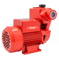 thumbnail image 1 of Bomba Periferica Autocebante Para Uso Agricola 1/2 Hp Santul, 1 of 3