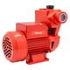 thumbnail image 1 of Bomba Periferica Autocebante Para Uso Agricola 1/2 Hp Santul, 1 of 3