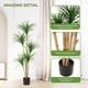 thumbnail image 5 of 5-ft artificial dracaena tree: realistic, lifelike faux tree para indoor decor - ideal para para photo backdrops, nursery, sala de estar, oficina, 5 of 6