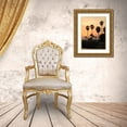 thumbnail image 3 of Dag, Inc. 15x18 Gold Ornate Wood Framed with Double Matting Museum Art Print Titled - Photography/Landscape 122, 3 of 4