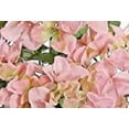 thumbnail image 4 of Select Artificials Hydrangea Bush X5, 22"; 5" Blooms, Light Pink/Green (M3435-LPG), 4 of 5