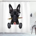 thumbnail image 1 of Ambesonne Bulldog Shower Curtain, Businessman Dog Glasses, 69"Wx70"L, Multicolor, 1 of 3