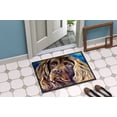 thumbnail image 2 of Carolines Treasures 7402JMAT Tapis Intérieur Ou Extérieur 24 x 36 Po. Boykin Spaniel, 2 of 4