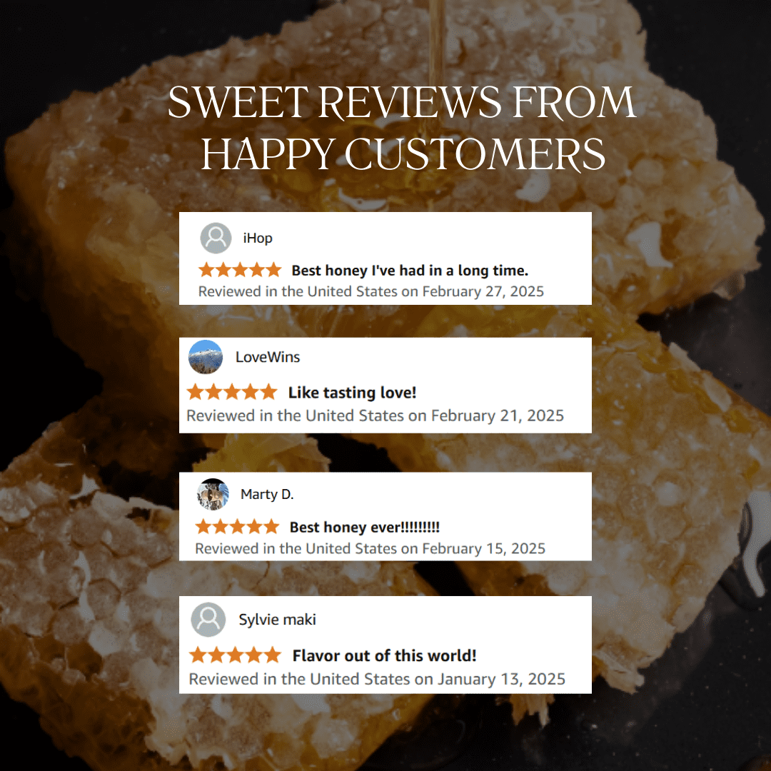 Papa Palermo Honeycomb 100% Edible, All-Natural, Gourmet Raw Honeycomb, No Additives, No Preservatives - 14 oz