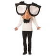 thumbnail image 1 of Le Costume de Lunettes de Nez Amusantes pour Adulte, 1 of 1