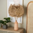 thumbnail image 2 of 32" Tall Spear Dried Plant Natural Foliage Bouquet with Sharp Stems, by DecMode, 2 of 9