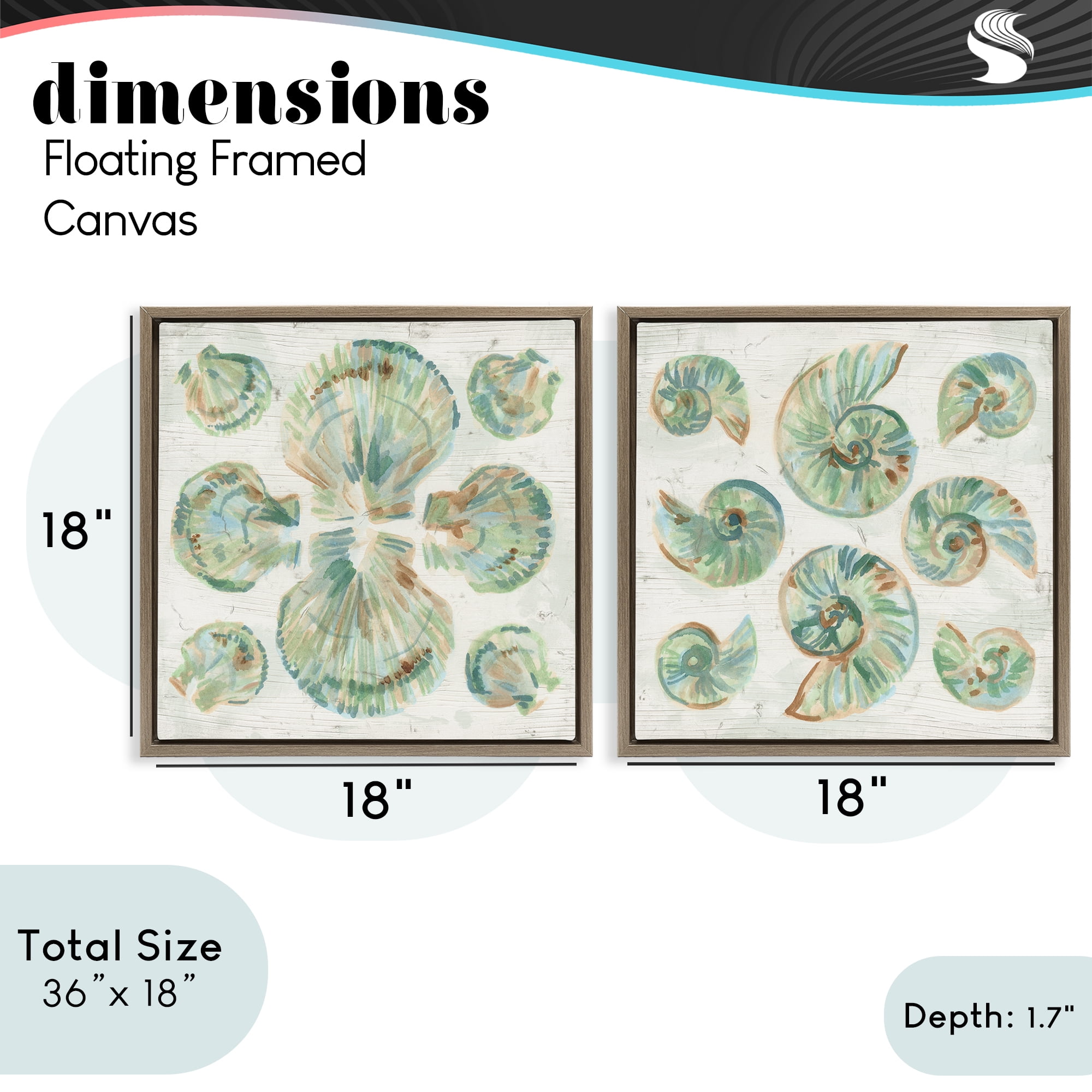 Stupell Industries Saltwashed Seashells Pattern 2 Piece Brown Framed Floater Canvas Set, design by June Erica Vess