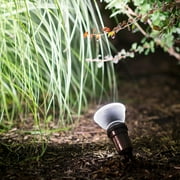 Philips LED 90-Watt PAR38 Indoor Floodlight Light Bulb, Bright White, Non-Dimmable, E26 Medium Base (2-Pack)