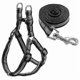 thumbnail image 1 of Juego de correas de nailon reflectante para perros pequeños y medianos, talla M, 1 of 1