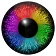 thumbnail image 2 of Rainbow Eye Wall Decal Wallmonkeys Peel and Stick Decals for Girls (12 in H x 12 in W) WM502460, 2 of 4