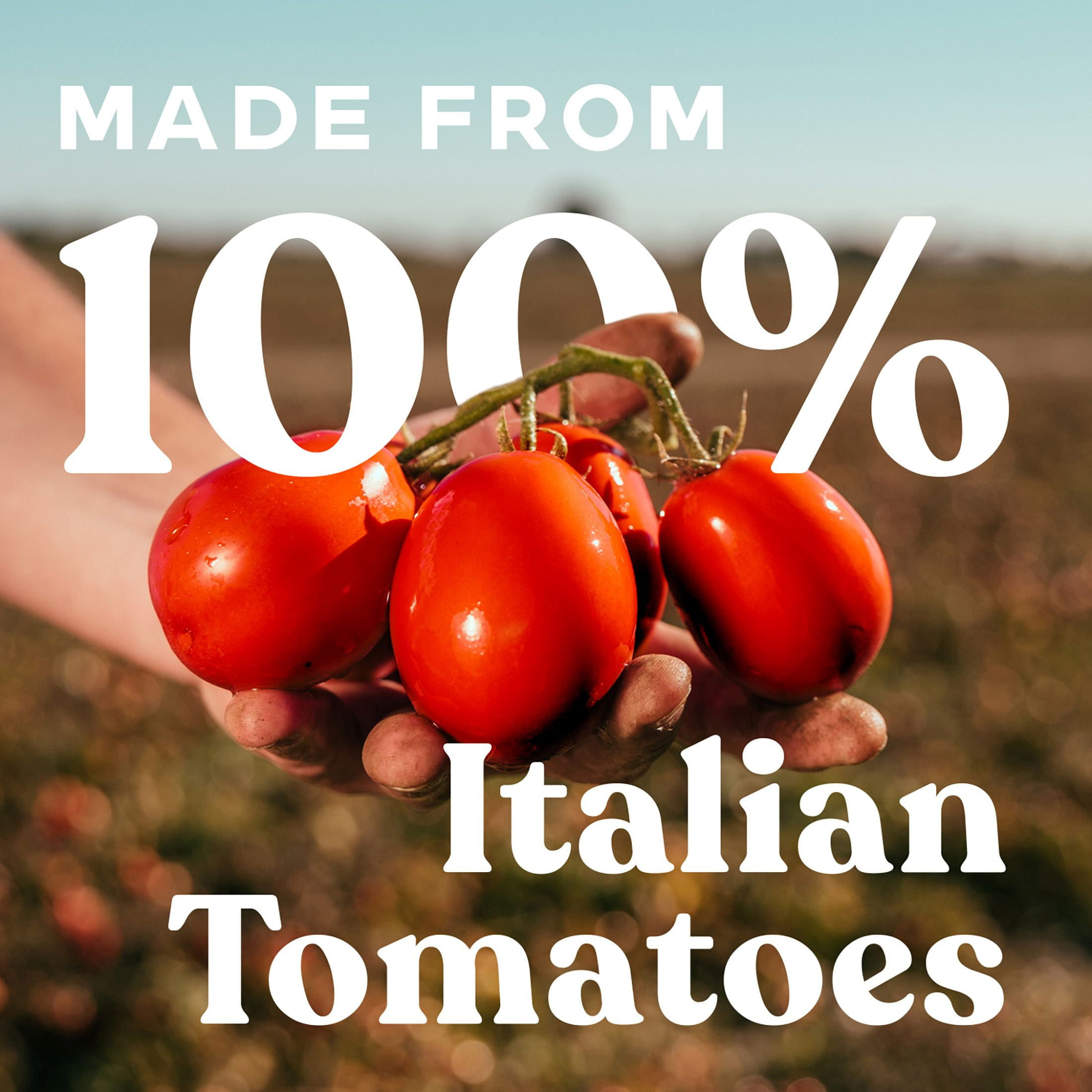 (3 pack) Pomi Finely Chopped Tomatoes, 26. 46 oz, 1/4 Cup per serving, 12 servings per Container