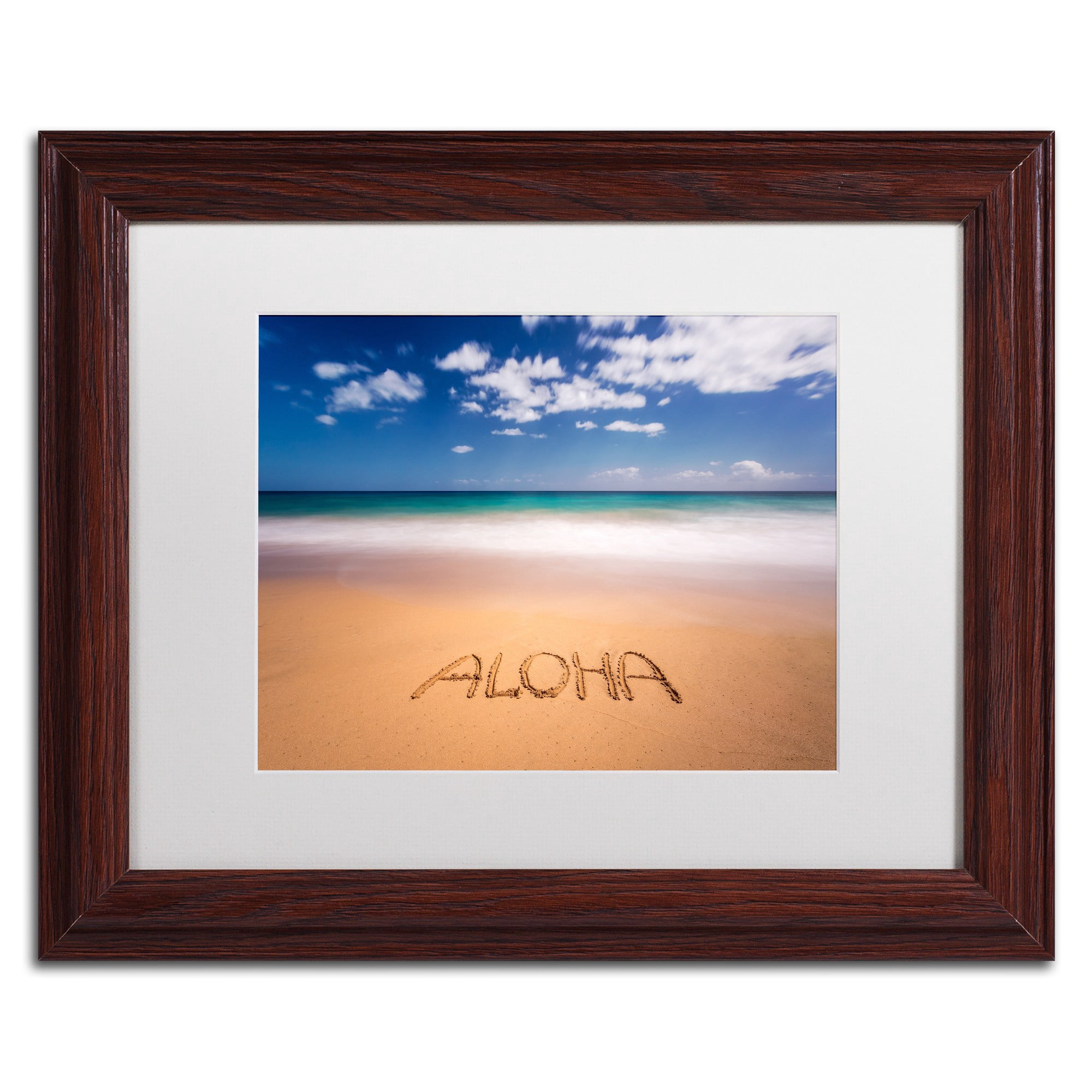 Trademark Fine Art 'Aloha' Canvas Art by Pierre Leclerc, White Matte, Wood Frame