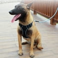 thumbnail image 4 of DODOPET Comfort-Fit Dog Harness for Outdoor Activities - Scratch-Resistant Oxford Cloth with Breathable Mesh Padding, Reflective Strips, Quick-Release Buckles - Lightweight, Easy to Clean - Black, 4 of 6