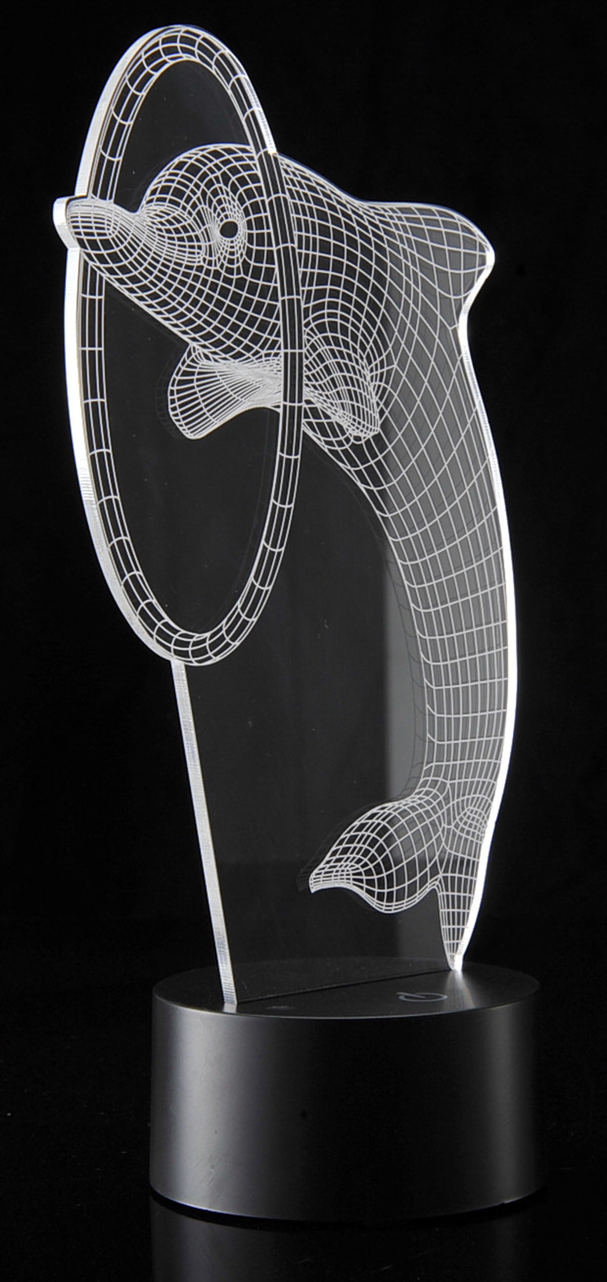 PlayWorld Board No More! 3D Dolphin Laser Cut Precision LED Lights