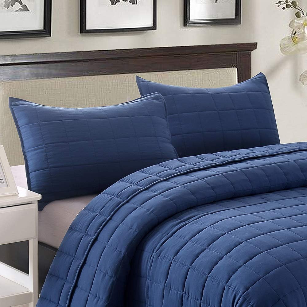 EMME Queen Quilt Set Summer Bedspread Lightweight Soft Bed Coverlet Pre-Washed Full Size Comforter Set 3 Pieces(1 Quilt, 2 Pillow Shams)