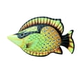 thumbnail image 1 of Mikilon Iron Fish Hanging Decoration Garden Home Crafts Decoration Fish Wall Hanging, 1 of 4