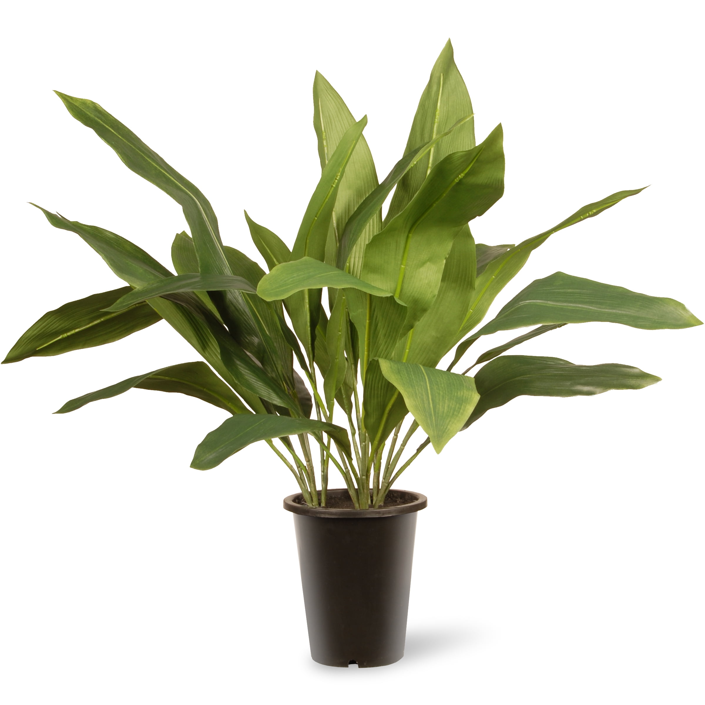 National Tree Artificial 30" Garden Accents Aspidistra Plant