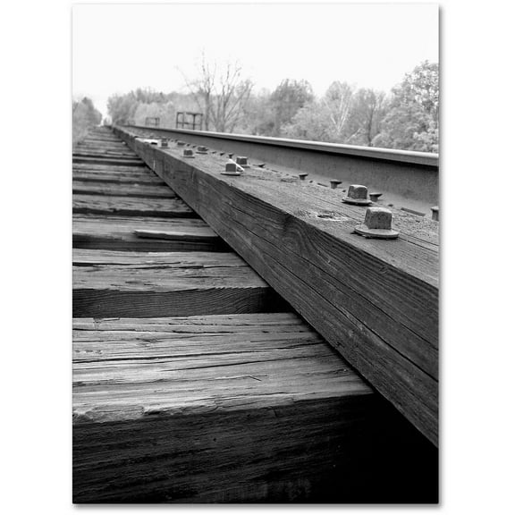 Trademark Fine Art "Unfinished Flaw" Canvas Art by Monica Fleet