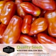thumbnail image 5 of 2 Pack Paste Tomato Seed Collection - Roma, San Marzano - Full Sun Annual Vegetable, 5 of 7