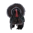 thumbnail image 2 of s de animales de pavo modelo de recuer para pequeños Sunnimix Juguetes con figuras de animales, 2 of 6