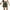 Army Green B, variant on Zoeecloth Women’s Denim High Waist Female Casual Jean Shorts with Pocket for Women Cargo S-XXL