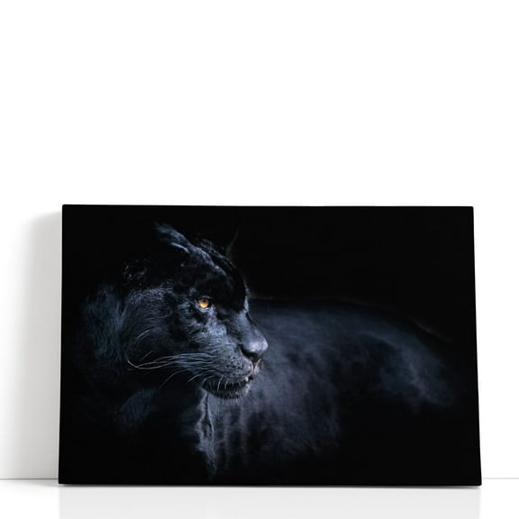 Black Panther with a Black Background - Wrapped Canvas Print Wall Art | 18" W x 12" H