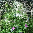 thumbnail image 4 of 4 Pack Metal Garden Trellis 71"H x 19.7"W Rustproof Outdoor Plant Support for Climbing Vines Flowers Galvanized Steel Structure Cream White Easy Assembly Sturdy Vertical Garden Grid, 4 of 9