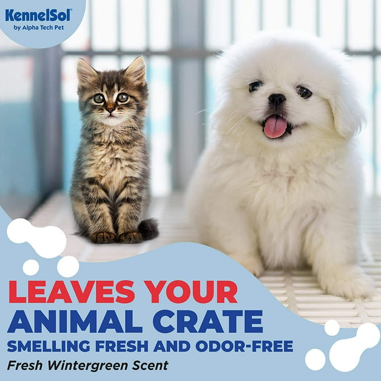 Kennel no 5 dog cheap perfume