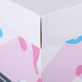 thumbnail image 6 of Zonh Gender Reveal Balloon Box - 3 Blue & 3 Pink Balloons - 15.72x11.79, 6 of 6
