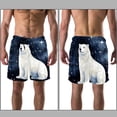 thumbnail image 3 of luoweisi Men's Beach Shorts Quick Dry Swim Trunks with Mesh Lining Galaxy Polar Bear L, 3 of 5