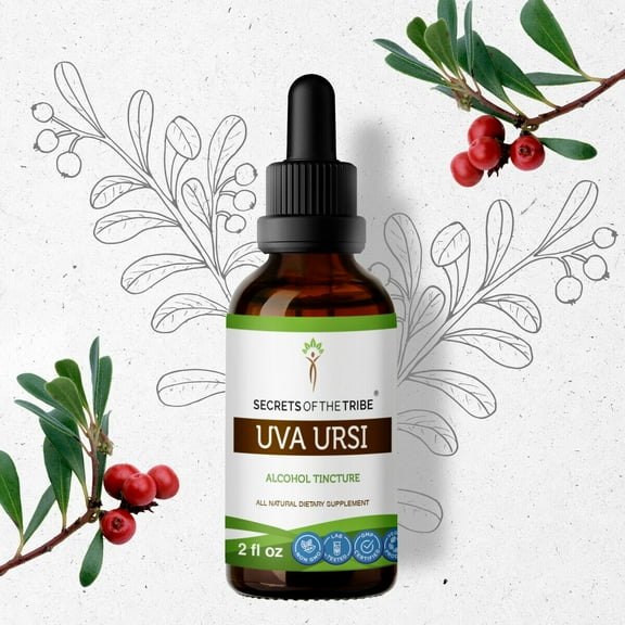 Uva Ursi Tincture Alcohol Extract, Organic Uva Ursi Arctostaphylos Uva-Ursi Urinary System Health 2 oz