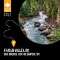 thumbnail image 5 of Adult - SubZero Grain Free - Fraser Valley - Dry Dog Food, 5 of 5