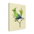 thumbnail image 2 of Trademark Fine Art 'Green Turaco II' Canvas Art by Melissa Wang, 2 of 4