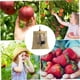 thumbnail image 5 of Empaque de frutas Multifuncional cálido espectáculo suspendido apriete para herramientas de jardín, esquí esquí Gafas de esquí, 5 of 5