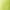 Lime Green, variant on Spring Notion Boys' Pre-tied Banded Satin Bow Tie