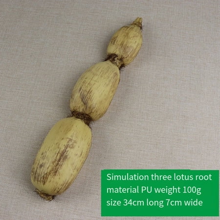 Watermark Fake Roots JINGT Lifelike Artificial Vegetable Simulation Lotus Root Fake ...