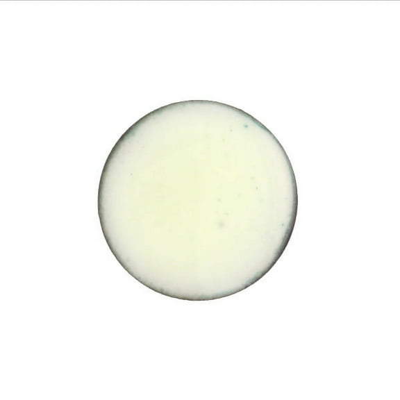 1202 Off White Thompson Opaque Enamel 2 Ounce