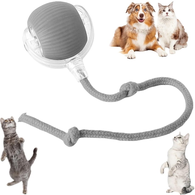 Pelota Interactiva para Gatos JShteea con Cuerda Interior