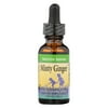 Minty Ginger, 1 fl oz (30 ml), Herbs for Kids