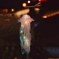 thumbnail image 2 of Kraoden Jellyfish Lights, Decorations, Room Decor, Desk Gadgets, Jellyfish Lamp Night Light for Girls Boys Kids Home Office Bedroom Decor for Christmas Holiday Birthday Party, 2 of 6