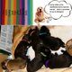 thumbnail image 2 of 15 collares para cachorros, collares para mascotas recién nacidas, bandas de identificación suaves y ajustables de doble cara, collares de identificación para cachorros para mascotas recién, 2 of 5