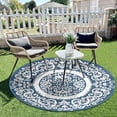 thumbnail image 3 of Aonewoe Round Outdoor Rugs 6Ft Waterproof Patio Plastic Straw Rug Reversible Camping Carpet Indoor Outdoor Area Rug for Patio,Deck,Balcony,Picnic,Beach,Outside, 3 of 8