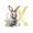 X, variant on Easter Acrylic 26 Letter Pendants Home Decoration Pendant, W