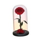 thumbnail image 1 of Rosa en cúpula de cristal, decoración para San Valentín, regalos para San Valentín Estilo B, 1 of 9