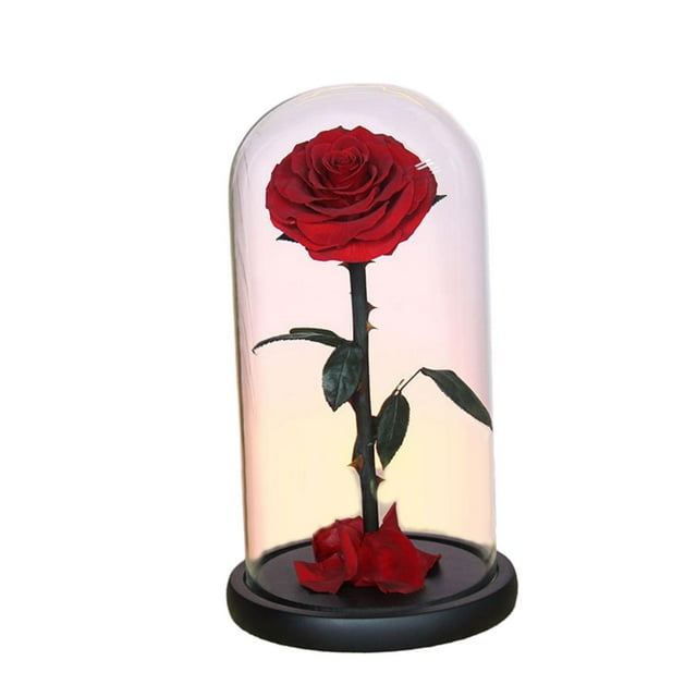 Rosa Eterna En Cúpula De Cristal Regalos Día De San Valentín Macarena